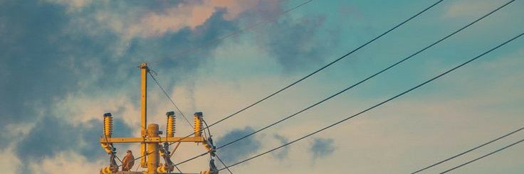 P. banner