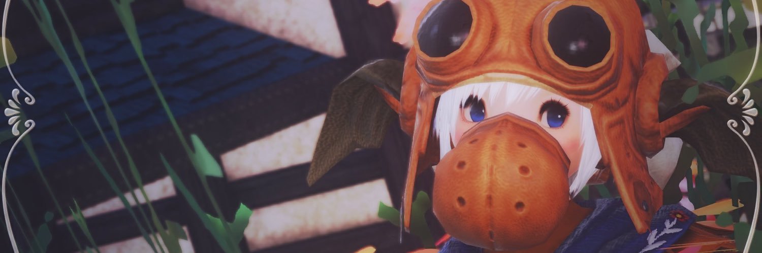 s-ri-n banner