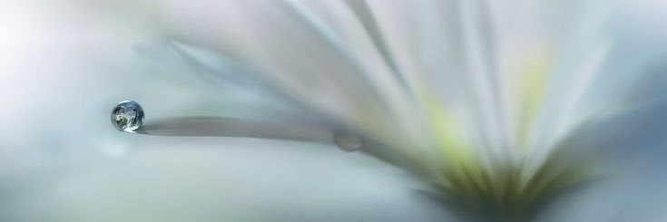 v! ✶ won??? banner