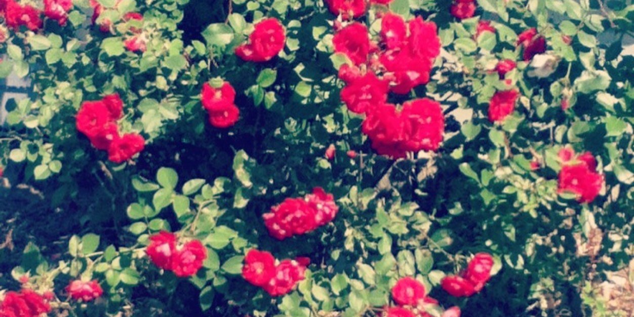 pretty_lynn312's profile banner image