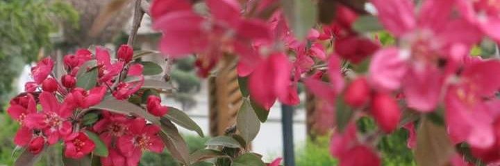 bsraaa55's profile banner image