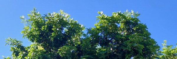 ell_R19 Profile Banner