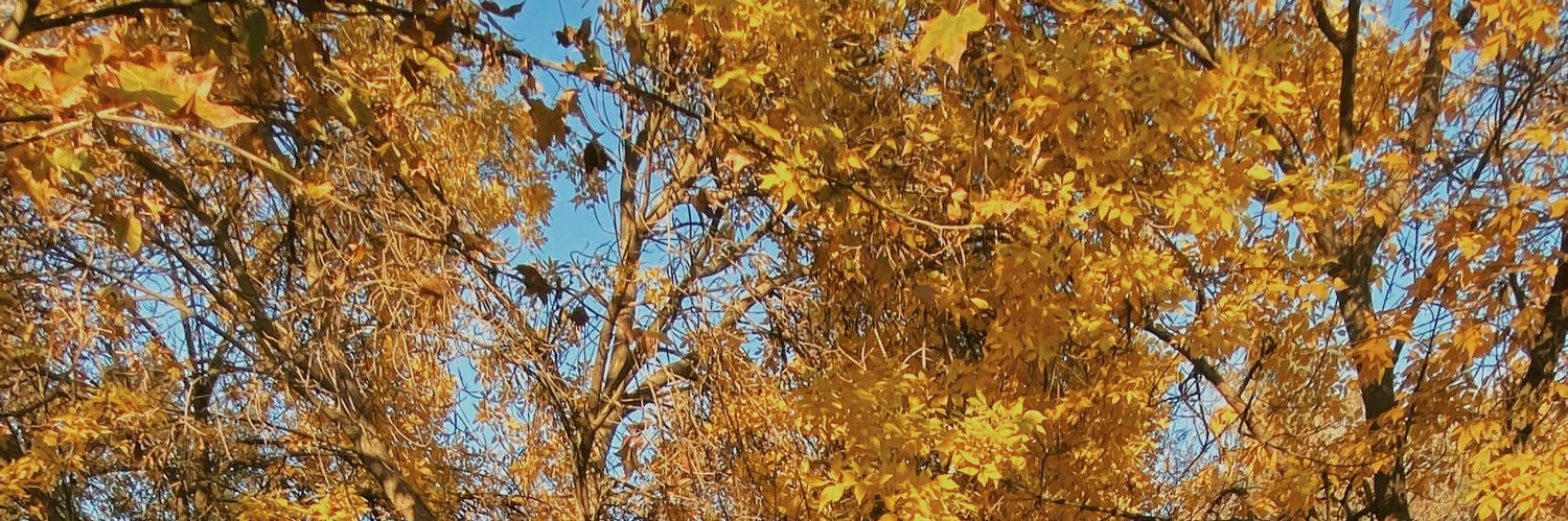 andreaarf_'s profile banner image