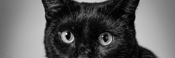 claudiacgr28 Profile Banner