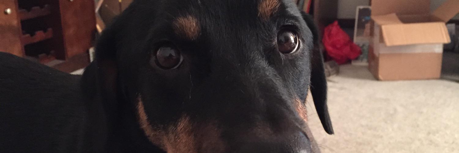 CarryTheNine's profile banner image