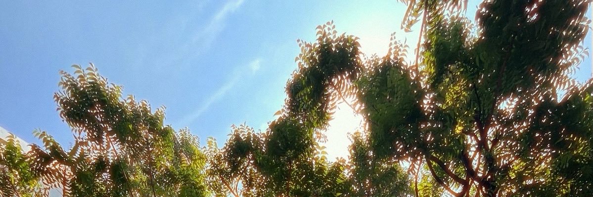 IsacJimenez's profile banner image