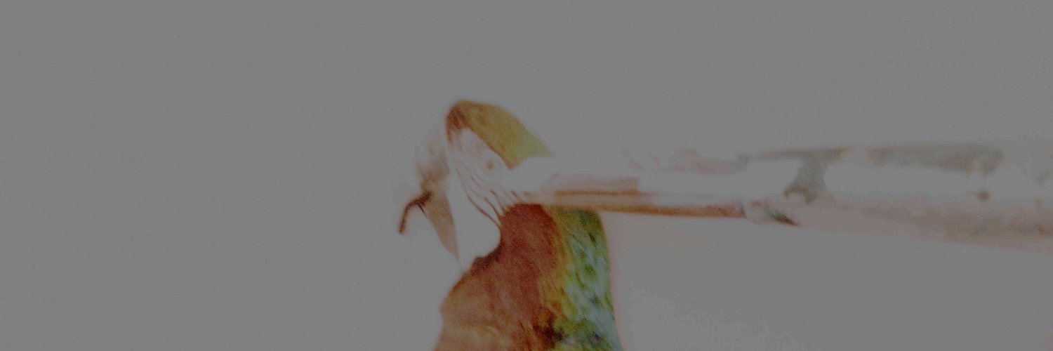 DumbGooseJessi's profile banner image