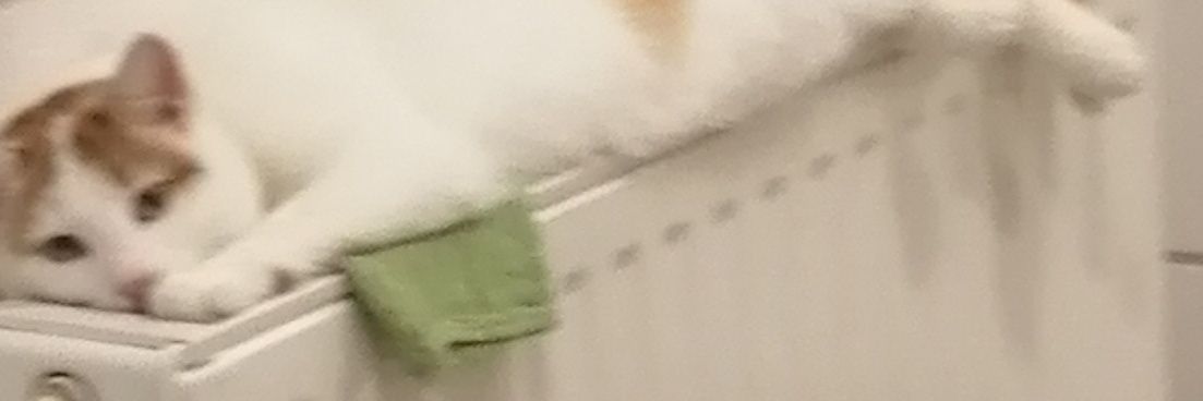 Alejandro Weiser banner