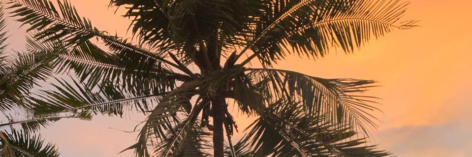 ApriNalim's profile banner image