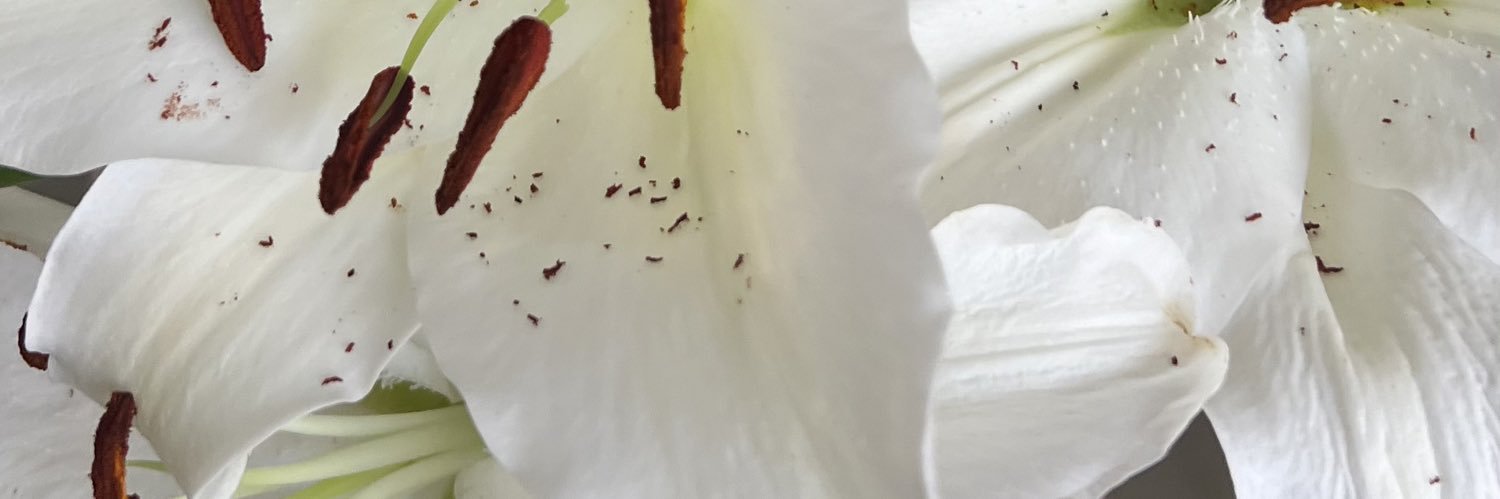 ChicasBessy's profile banner image