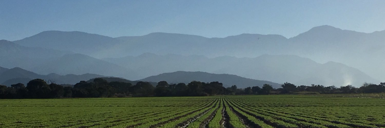 monocolombres's profile banner image