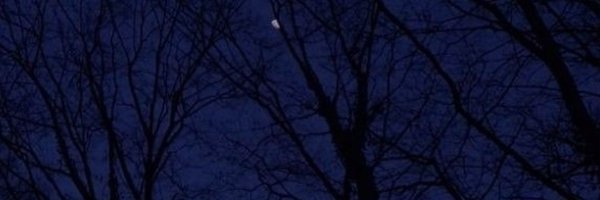 SugarDaimon Profile Banner