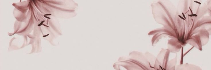 sunshinejj0's profile banner image