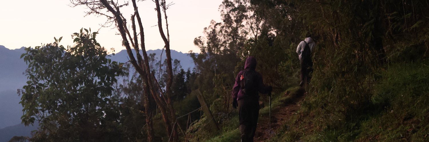 tico and french fries banner