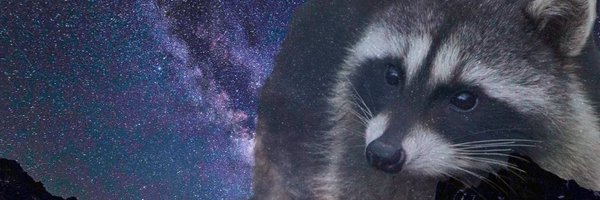 Bl0ssomm_zzz Profile Banner