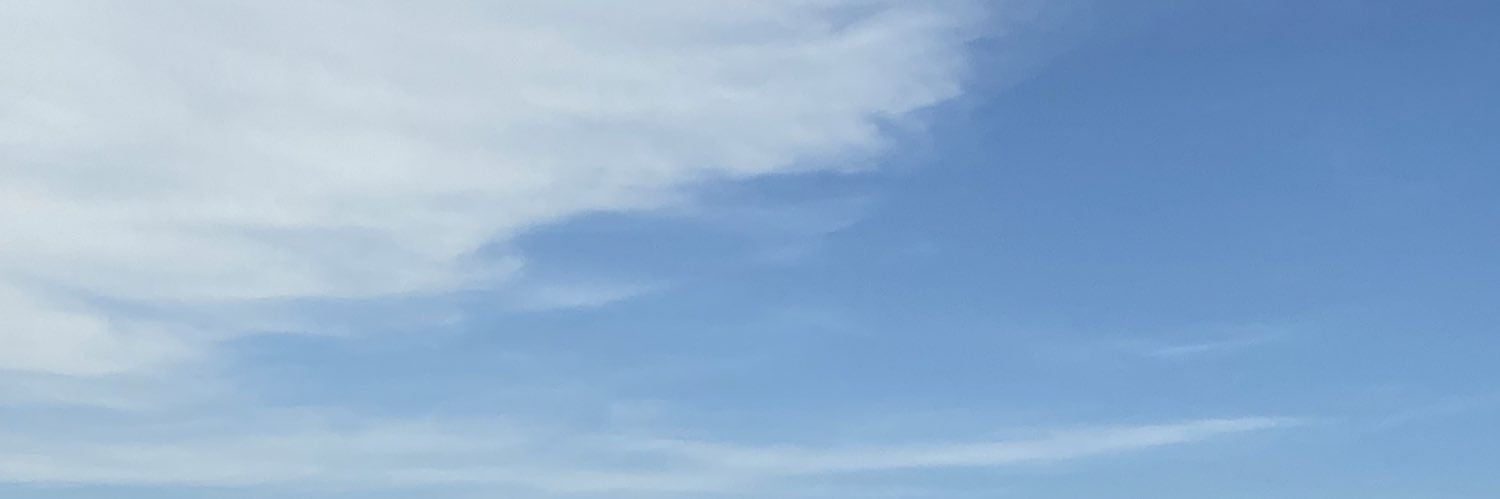 evelymgomesc's profile banner image