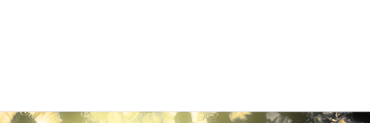 goredenia's profile banner image