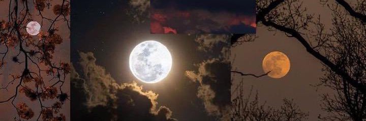 srta.milander🌓 banner