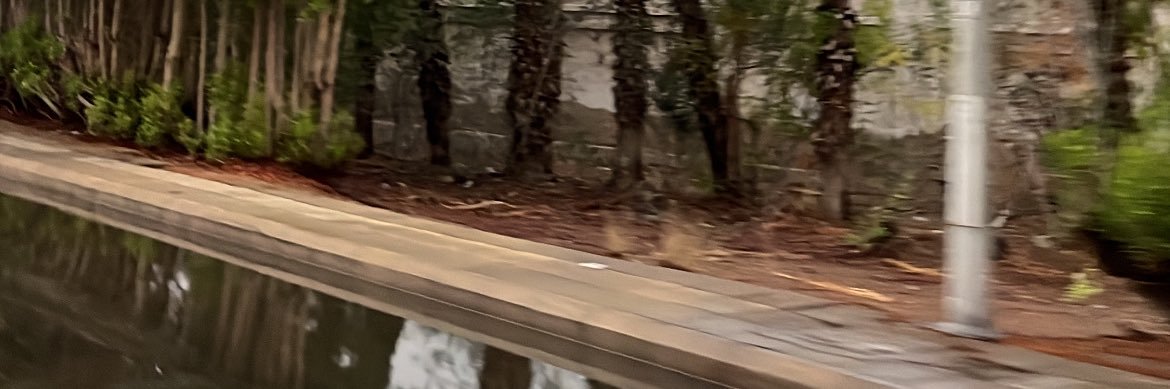 𝐒𝐇𝐀𝐇𝐀𝐃 banner