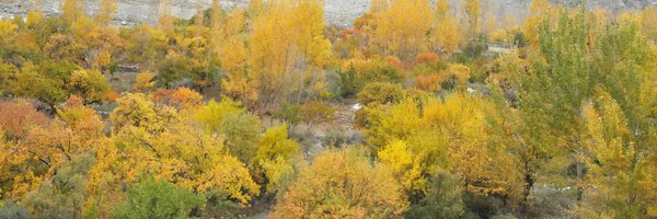 mudriz Profile Banner