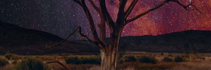 aronrdz banner