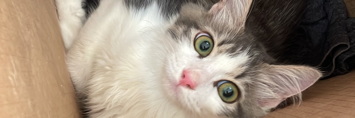 agridocej's profile banner image