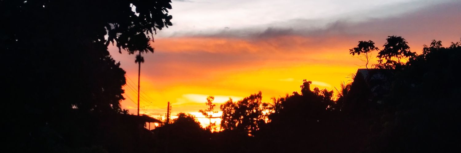 Arthur Morgan banner
