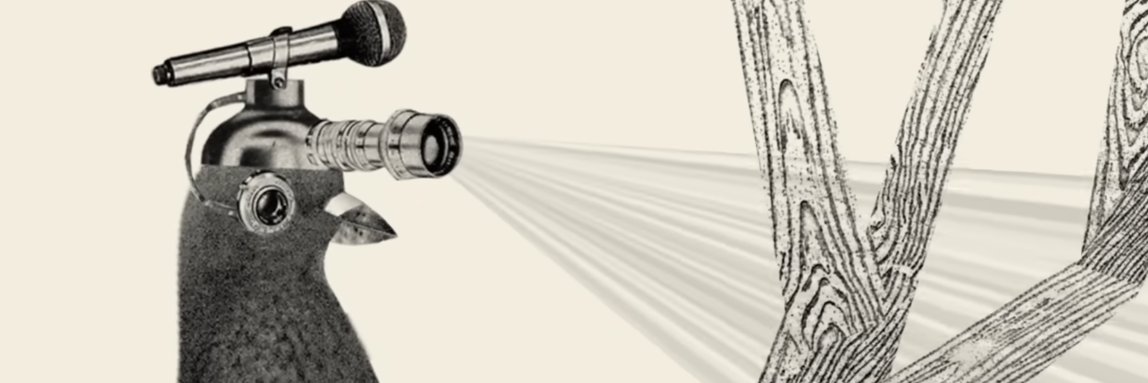 Krossboe's profile banner image