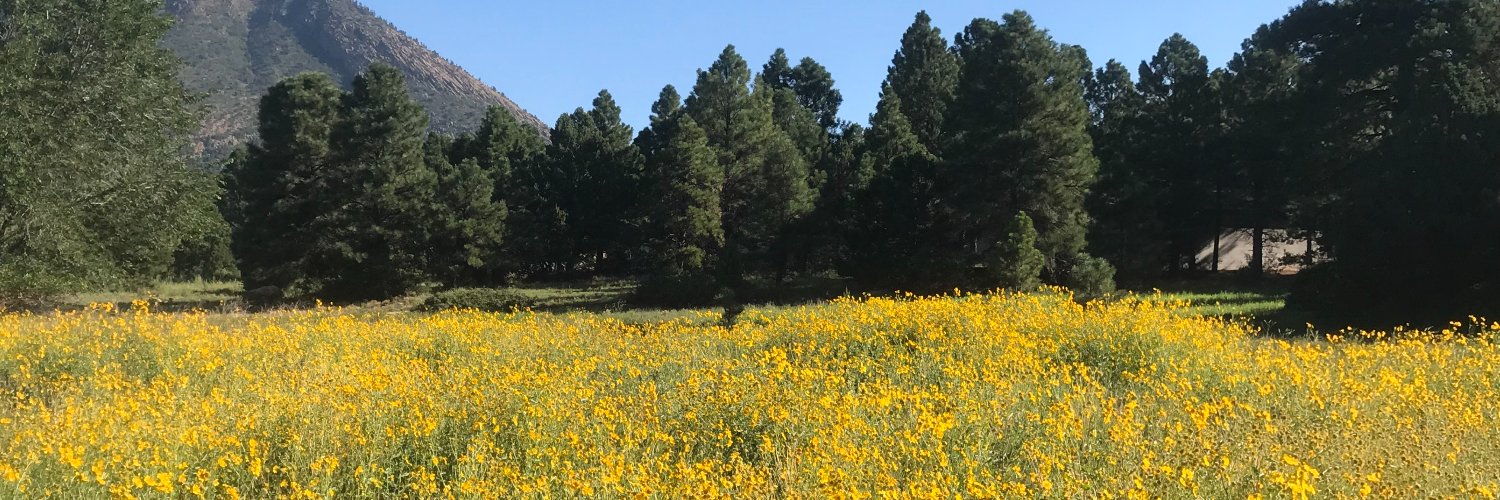 JenGargano's profile banner image