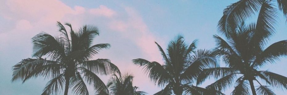adri✵'s banner