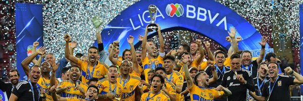 DraftTigres Profile Banner