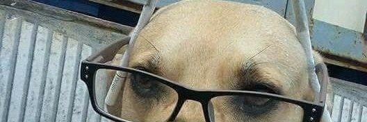 Q cerula é esse bk ?? banner