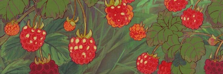 dolvajaee's profile banner image