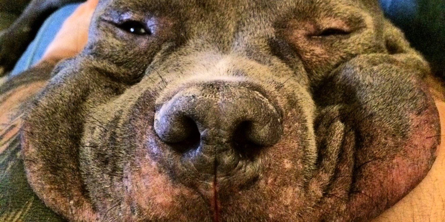 MrUGHGURL's profile banner image