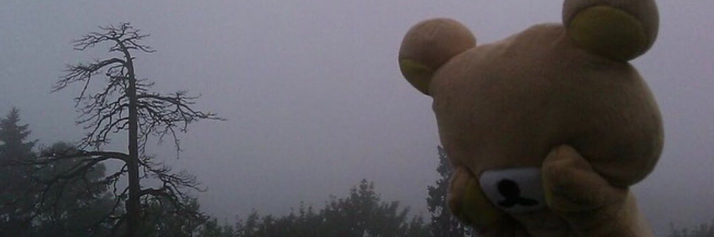 peepkn's profile banner image