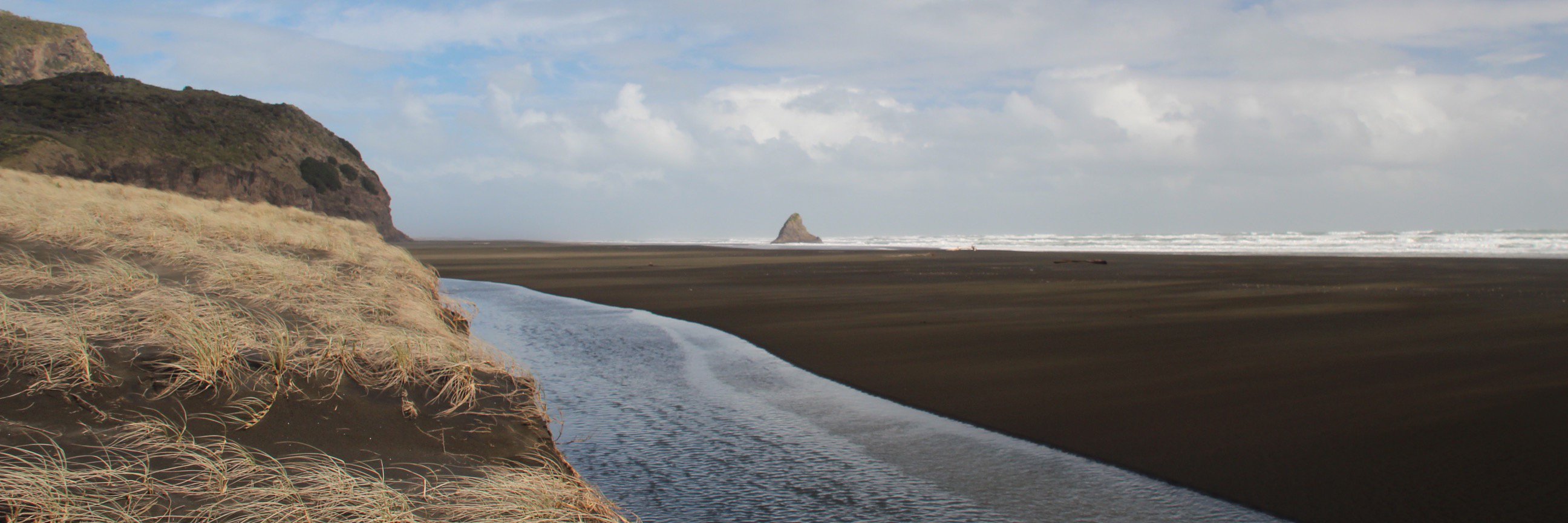 Dick Huey // Toolshed 💙 banner
