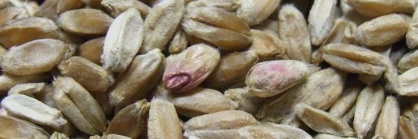 USWBSI Profile Banner