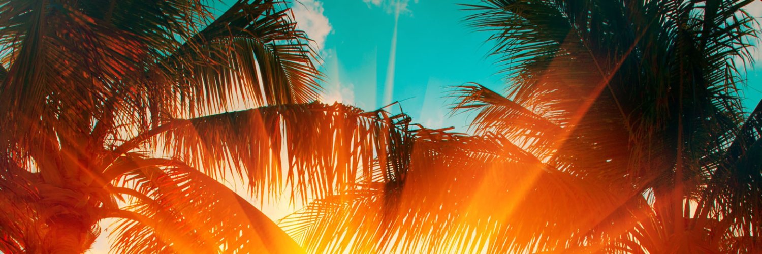 djumuttorun's profile banner image