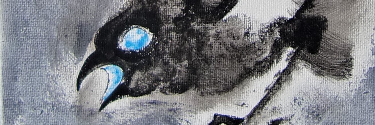 Urraca Pega 👁️ banner
