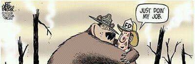 Emily RothSteavenson banner