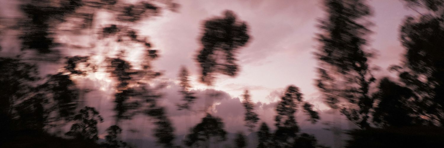 ____zzzj's profile banner image