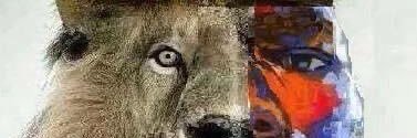 AhayahStruth's profile banner image