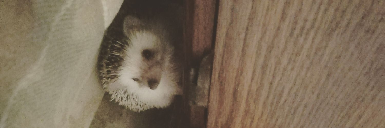 gerismoxa's profile banner image