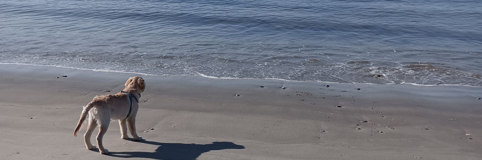 dilolaura11's profile banner image
