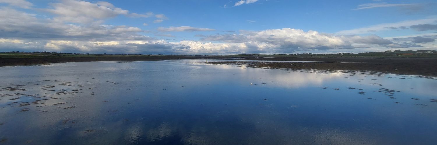 Bridgette Brew 🌤 banner