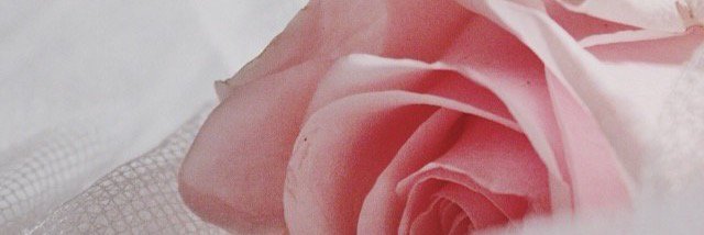 abthel58's profile banner image