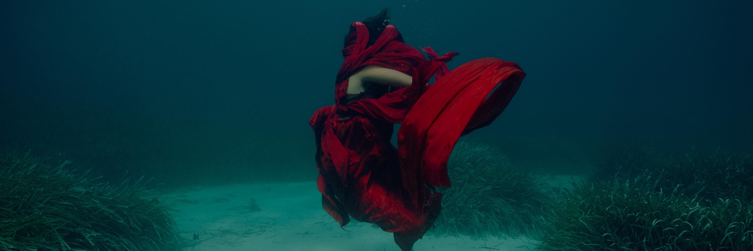 Susan Thomson banner