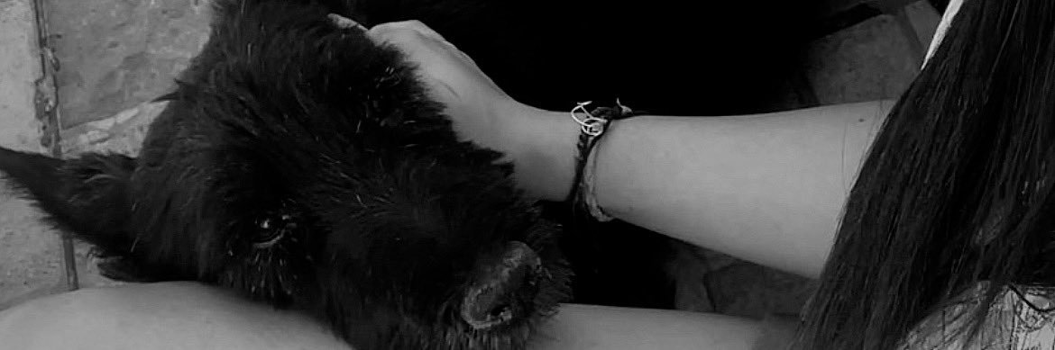 _lowkeylu_'s profile banner image