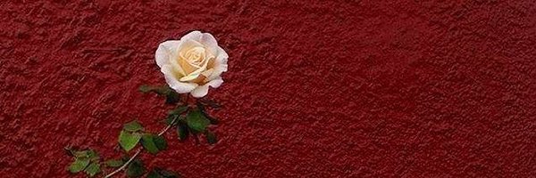 cueensavage Profile Banner
