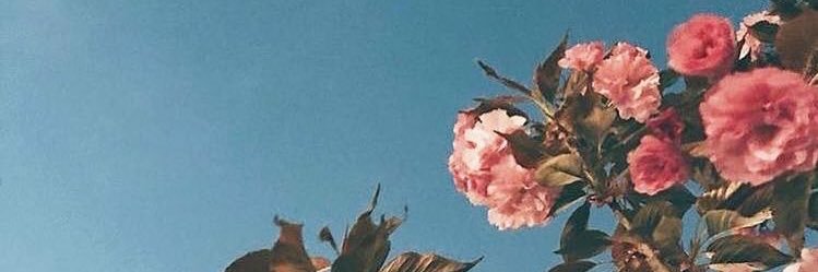 manoellym's profile banner image
